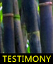 TESTIMONY